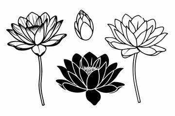 Poster - Illustration of three lotus flowers and one lotus bud in black and white outline style art design