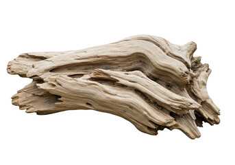 Poster - A piece of weathered driftwood is isolated on a transparent background