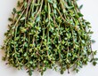 © Thi - fresh thyme sprigs with tiny green leaves arranged neatly ready for seasoning savory dishes and soups