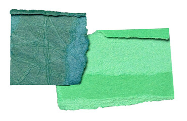 Poster - Green crumpled wrinkled torn pieces of blank paper note cardboard with texture and copy space, close up transparent png background isolated cut out design element