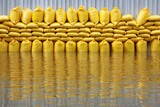 Yellow sandbags stacked as a temporary flood barrier, protecting a building from rising floodwaters, reflecting in the water.