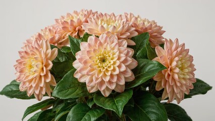 Aufkleber - Plant with Flowers and Leafy Growth