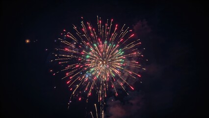Poster - Nighttime sky illuminated by fireworks