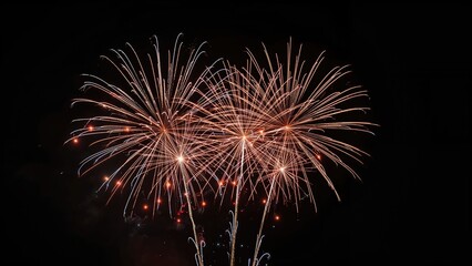 Poster - Colorful fireworks shine vividly on a black canvas during holiday and New Year celebrations