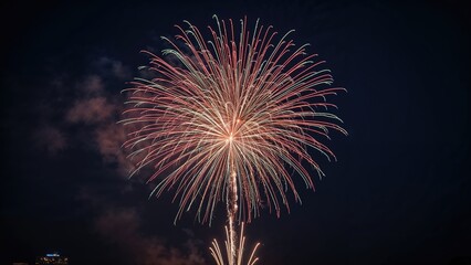 Poster - Brilliant fireworks lighting the evening sky