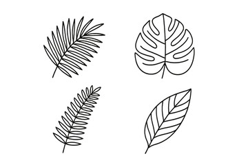 Poster - Tropical leaves line art vector set. Botanical collection for design with palm, monstera, and fern. Jungle foliage icons. Isolated minimalist outline illustration.