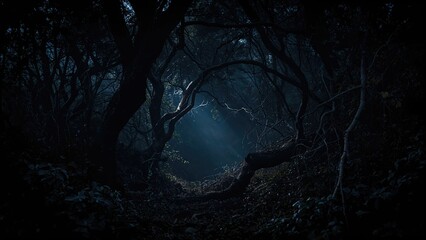 Aufkleber - Mysterious dark forest-themed background