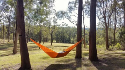 Wall Mural - orange hammock tied between trees in sunny, serene forest