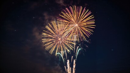 Poster - Bright explosions of color brighten the nighttime.