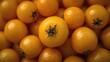 © The 2R Artificiality - Detailed macro shot of golden giant groundcherry fruits and seeds