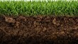 © The 2R Artificiality - Close-up shot showing soil beneath lush grass covering