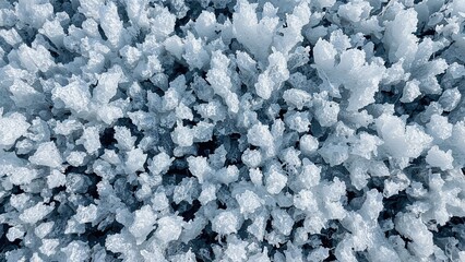 Wall Mural - chilly winter landscape covered in snow