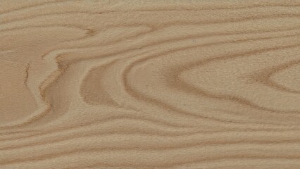 Poster - Detailed view of wood grain patterns