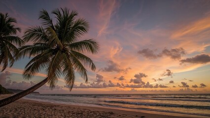 Poster - Coconut palm tree silhouetted against a tropical beach at dawn or dusk
