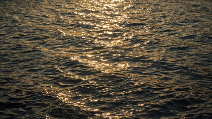 Poster - River waves reflecting golden sunset light