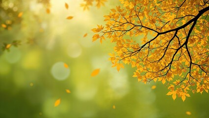 Poster - Bright yellow fall leaves contrasting with green surroundings