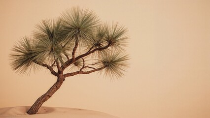 Poster - The Summit of a Spruce or Casuarinaceae Tree