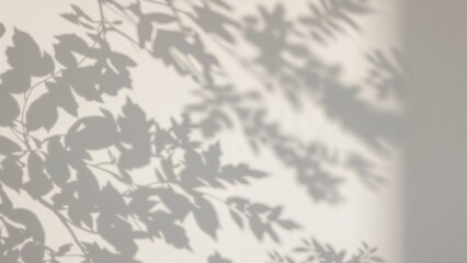 Wall Mural - silhouettes of leaves cast on a plain white surface