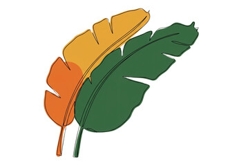 Fototapete - Illustration of two banana leaves in green and orange with black outline on white background