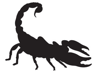 scorpio silhouette