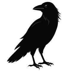 Poster - Striking silhouette of a crow in flight a powerful avian symbol isolated on white background for graphic design projects