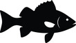 © Golshan Ara Monny - Silhouette grouper fish swims in the sea vector illustration