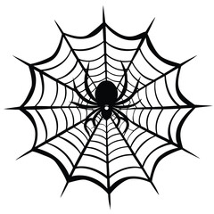 Black spider on intricate web arachnid white