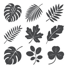 Poster - Botanical Silhouette Collection Diverse Leaf Set Tropical Foliage Assortment Nature Inspired Design Elements Isolated on Transparent Backdrop