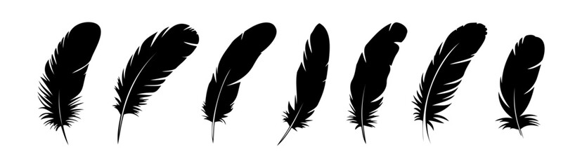 Poster - Seven black feathers of varying shapes and sizes arranged against a white background in a row format