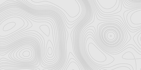 Fototapete - Lines seamless topography contour map abstract geometric landscape grid terrain texture mountain relief background, light grey background with detailed topographic map wave line smooth curve shape.