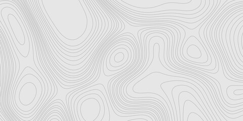 Fototapete - Lines seamless topography contour map abstract geometric landscape grid terrain texture mountain relief background, light grey background with detailed topographic map wave line smooth curve shape.