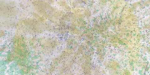Fototapete - Abstract dynamic shape of colorful pattern combination mixes color and design texture watercolor painting with isolated on artistic background, grungy paint watercolor splatter soft color design.