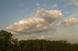 © parpalac - A group of trees with clouds in the sky