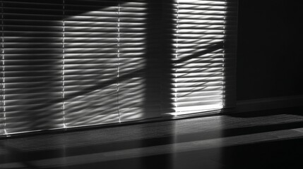 Poster - Shadow Play: Capturing the dramatic interplay of light and shadow. The image presents a dance of light and darkness, creating an evocative atmosphere of contrasts and subtle beauty.