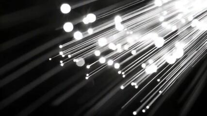 Poster - Abstract Black and White Lines in Motion with Light Rays Creating Dynamic Visual Effects