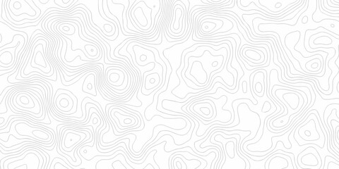 Poster - Lines Topographic contour lines grid map seamless pattern. Geographic mountain relief. Abstract lines background. Contour map Topo contour map design.	

