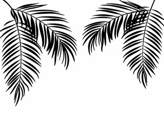 beautiful palm tree leaf set silhouette background vector illustration