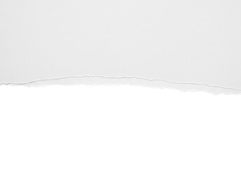 Poster - A torn white paper edge with a textured rough border on a clean transparent background