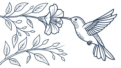 Poster - Elegant contour hummingbird feeding on a flower vector illustration with delicate leaves and branches design available on white background