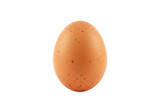 A single brown speckled egg isolated on a plain transparent background, representing a fresh ingredient