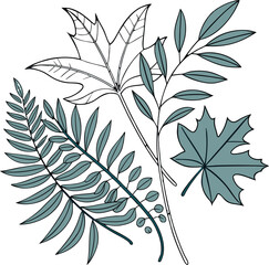 Poster - Vector illustration featuring detailed leaf elements on a transparent background ideal for decorative designs and creative composition for versatile projects.