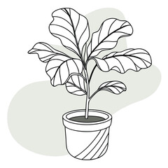 Poster - Illustration of a modern fiddle leaf fig plant in a simple line art style for home decor designs and botanical prints