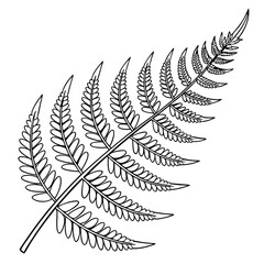 Poster - Vector illustration of a delicate fern leaf depicting nature and botanical beauty against a clean white background