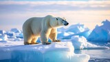 北極の流氷の上に立つシロクマ。AIで生成
