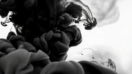 Poster - Black ink swirling and blooming in water, creating abstract cloudlike formations and delicate smoke tendrils against a bright white background