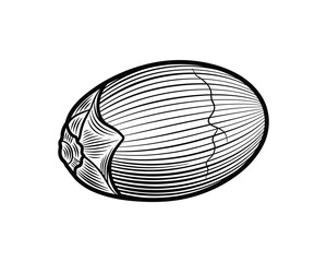 Poster - Cracked Egg with Line Art Style Texture Black and White Color Vector Illustration