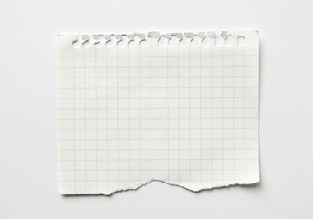 Poster - Torn square grid paper sheet on white background.