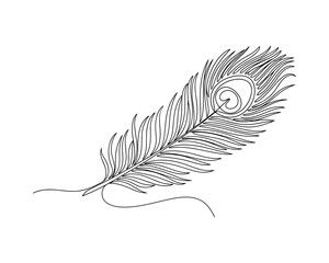 Aufkleber - Elegant Peacock Feather with Intricate Details, Single Line Art Style, Isolated Design on White Background Vector Illustration