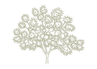 Poster - Green Tree with Round Flower Shaped Leaves Outline Style, Isolated Element, on White Background, Vector Illustration