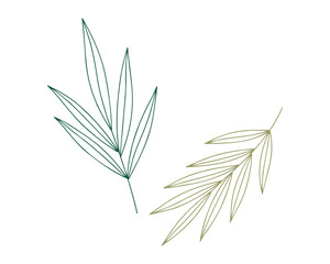 Aufkleber - Two Botanical Palm Leaves, Green, Gold, Line Art Style Elements, Isolated on White Background, Vector Illustration